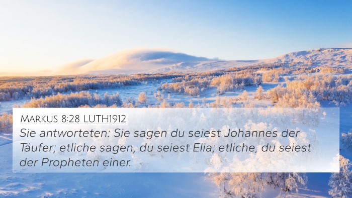 Markus 8:28 LUTH1912 Bible Verse Image