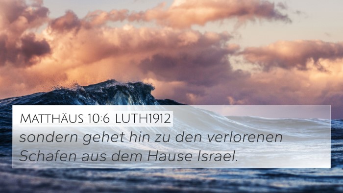 Matthäus 10:6 LUTH1912 Bible Verse Image