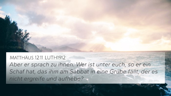 Matthäus 12:11 LUTH1912 Bible Verse Image