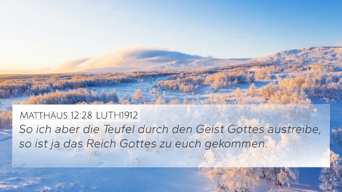 Matthäus 12:28 LUTH1912 Bible Verse Image