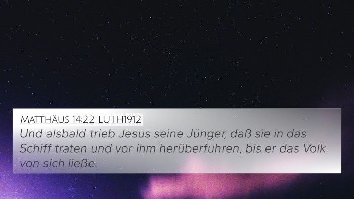 Matthäus 14:22 LUTH1912 Bible Verse Image