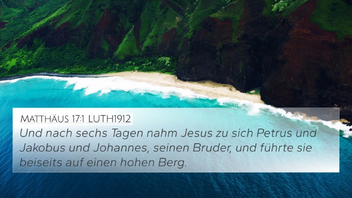 Matthäus 17:1 LUTH1912 Bible Verse Image
