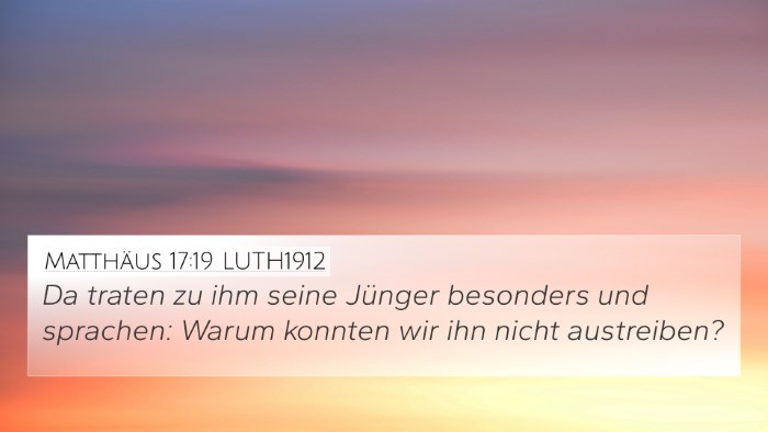Matthäus 17:19 LUTH1912 Bible Verse Image