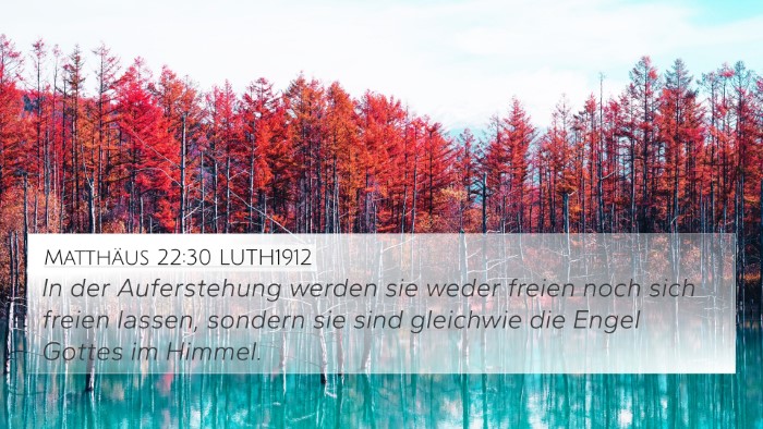 Matthäus 22:30 LUTH1912 Bible Verse Image