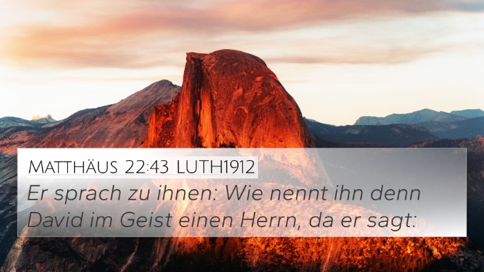 Matthäus 22:43 LUTH1912 Bible Verse Image