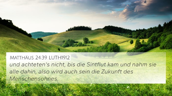 Matthäus 24:39 LUTH1912 Bible Verse Image