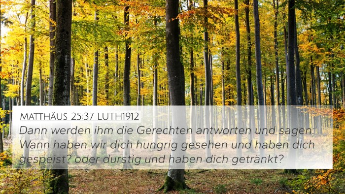 Matthäus 25:37 LUTH1912 4K Wallpaper - Dann werden ihm die Gerechten antworten und - 4K Wallpaper Bible Verse