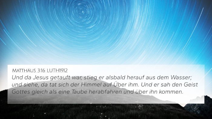 Matthäus 3:16 LUTH1912 Bible Verse Image