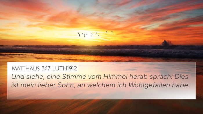 Matthäus 3:17 LUTH1912 Bible Verse Image