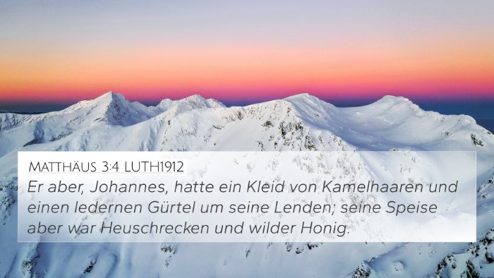 Matthäus 3:4 LUTH1912 Bible Verse Image