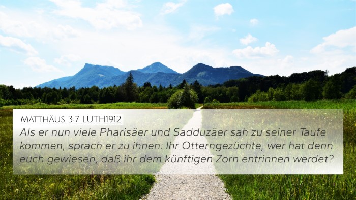 Matthäus 3:7 LUTH1912 Bible Verse Image