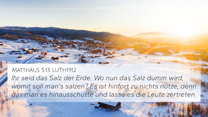 Matthäus 5:13 LUTH1912 Bible Verse Image