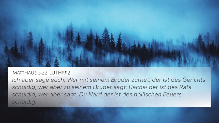 Matthäus 5:22 LUTH1912 Bible Verse Image