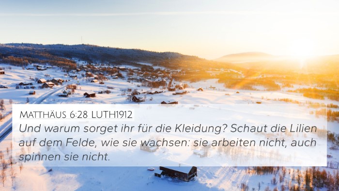 Matthäus 6:28 LUTH1912 Bible Verse Image