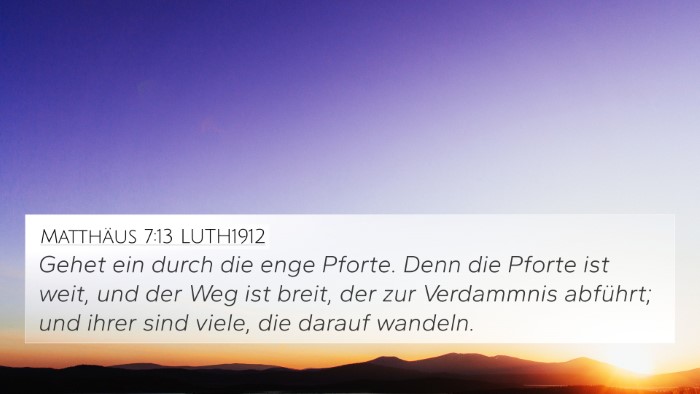 Matthäus 7:13 LUTH1912 Bible Verse Image