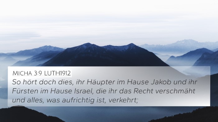 Micha 3:9 LUTH1912 Bible Verse Image