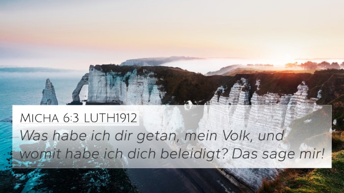 Micha 6:3 LUTH1912 Bible Verse Image