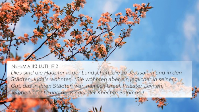Nehemia 11:3 LUTH1912 Bible Verse Image
