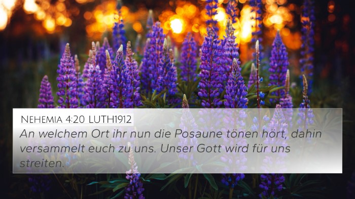 Nehemia 4:20 LUTH1912 Bible Verse Image