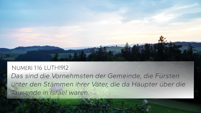 Numeri 1:16 LUTH1912 Bible Verse Image