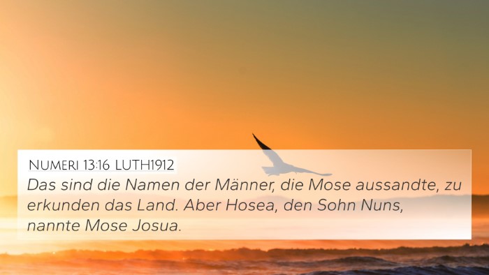 Numeri 13:16 LUTH1912 Bible Verse Image