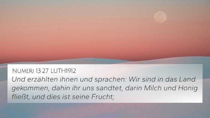 Numeri 13:27 LUTH1912 Bible Verse Image