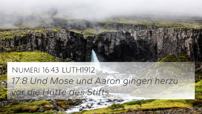 Numeri 16:43 LUTH1912 4K Wallpaper - 17:8 Und Mose und Aaron gingen herzu vor die - 4K Wallpaper Bible Verse