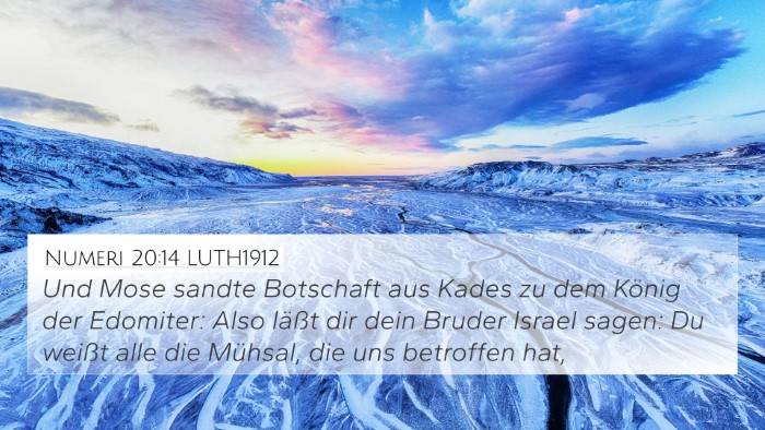 Numeri 20:14 LUTH1912 Bible Verse Image