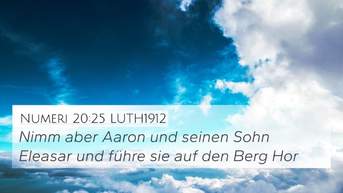 Numeri 20:25 LUTH1912 Bible Verse Image