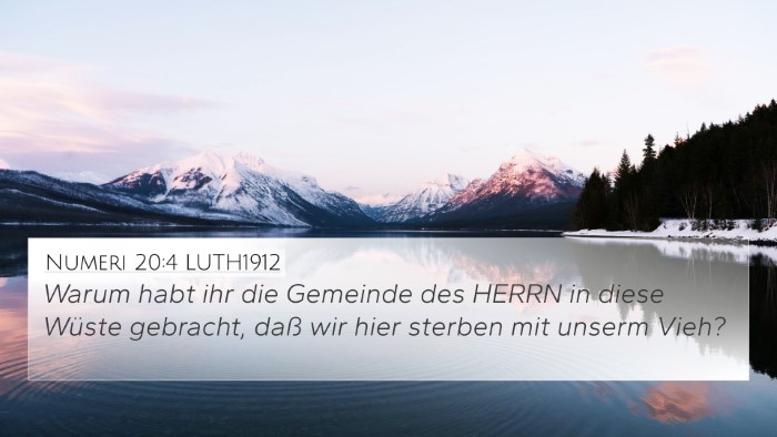 Numeri 20:4 LUTH1912 Bible Verse Image