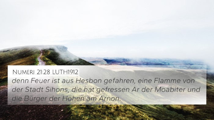 Numeri 21:28 LUTH1912 Bible Verse Image