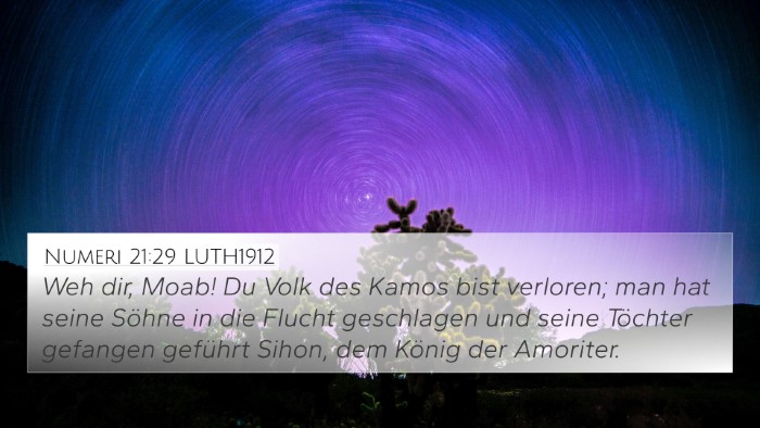 Numeri 21:29 LUTH1912 Bible Verse Image
