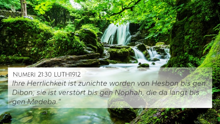 Numeri 21:30 LUTH1912 Bible Verse Image