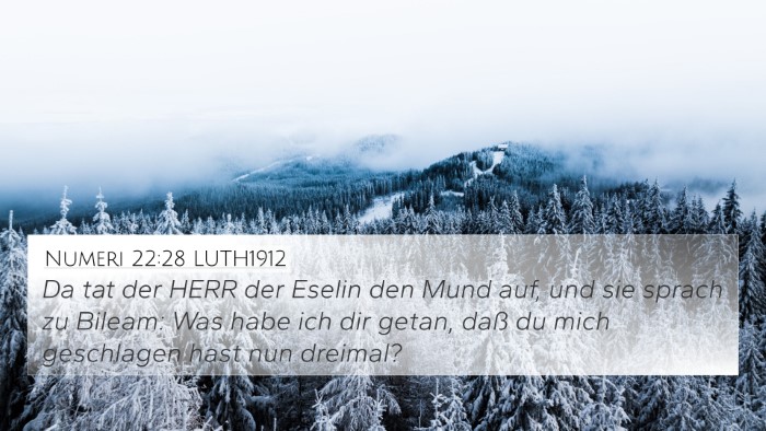 Numeri 22:28 LUTH1912 Bible Verse Image