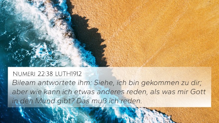 Numeri 22:38 LUTH1912 Bible Verse Image