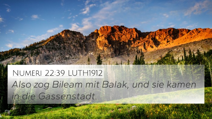 Numeri 22:39 LUTH1912 Bible Verse Image