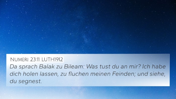 Numeri 23:11 LUTH1912 Bible Verse Image