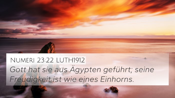 Numeri 23:22 LUTH1912 Bible Verse Image