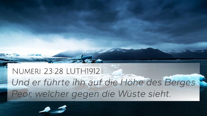Numeri 23:28 LUTH1912 Bible Verse Image