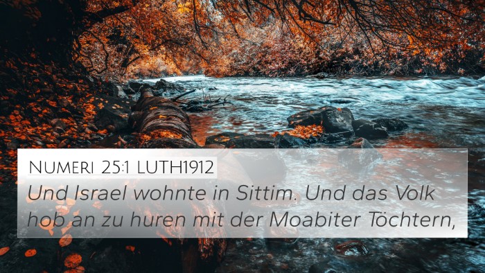Numeri 25:1 LUTH1912 Bible Verse Image