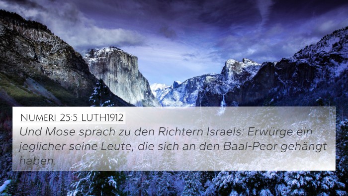 Numeri 25:5 LUTH1912 Bible Verse Image