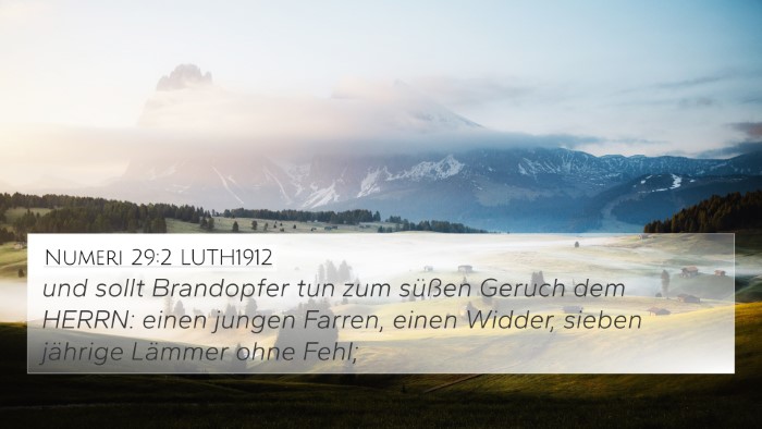 Numeri 29:2 LUTH1912 Bible Verse Image