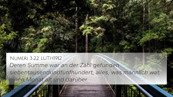 Numeri 3:22 LUTH1912 4K Wallpaper - Deren Summe war an der Zahl gefunden - 4K Wallpaper Bible Verse