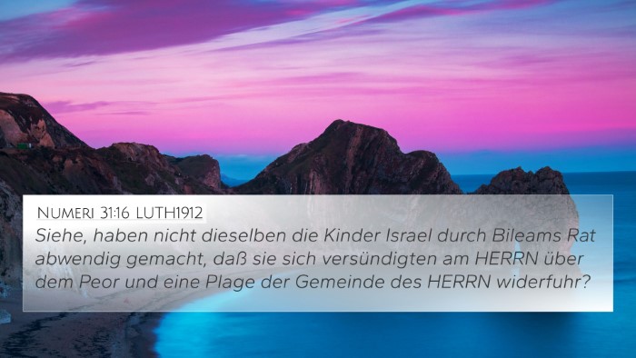 Numeri 31:16 LUTH1912 Bible Verse Image