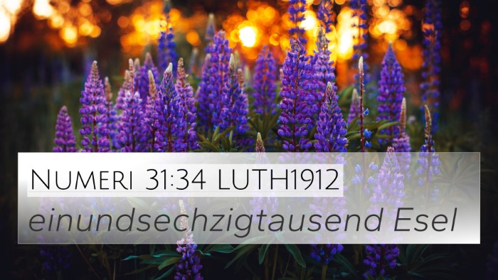 Numeri 31:34 LUTH1912 4K Wallpaper - einundsechzigtausend - 4K Wallpaper Bible Verse