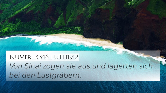 Numeri 33:16 LUTH1912 Bible Verse Image