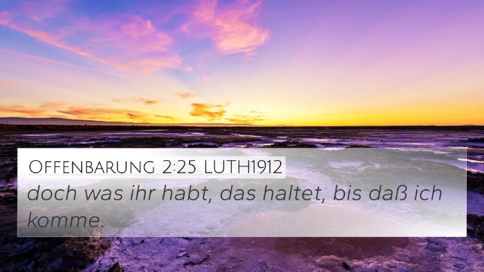 Offenbarung 2:25 LUTH1912 Bible Verse Image
