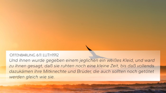 Offenbarung 6:11 LUTH1912 4K Wallpaper - Und ihnen wurde gegeben einem jeglichen ein - 4K Wallpaper Bible Verse