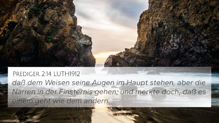 Prediger 2:14 LUTH1912 Bible Verse Image