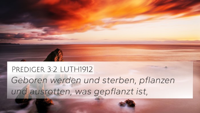 Prediger 3:2 LUTH1912 4K Wallpaper - Geboren werden und sterben, pflanzen und - 4K Wallpaper Bible Verse